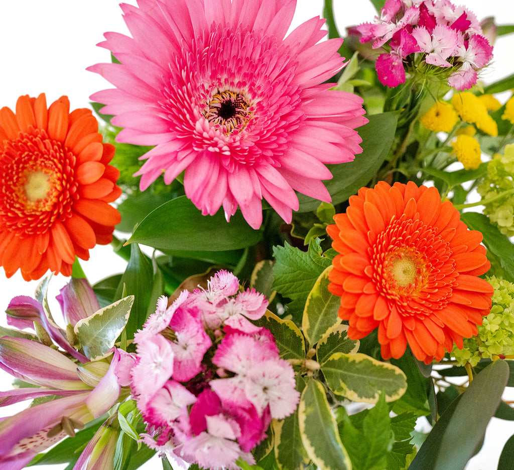 Vivid Petite Bouquet