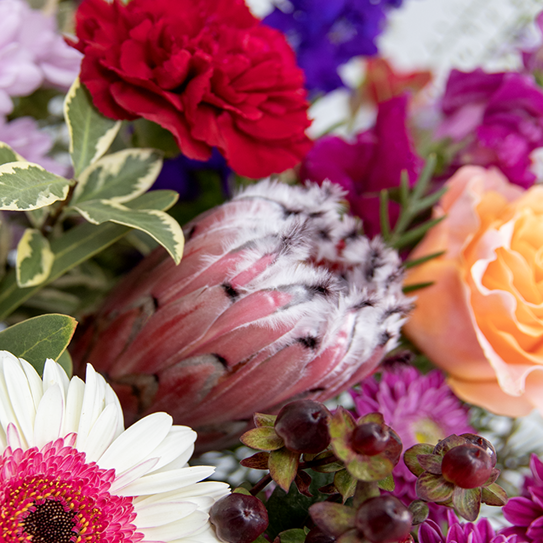 Garden Whimsy