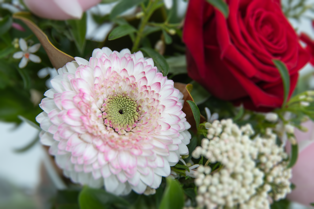 La Vie en Rose
