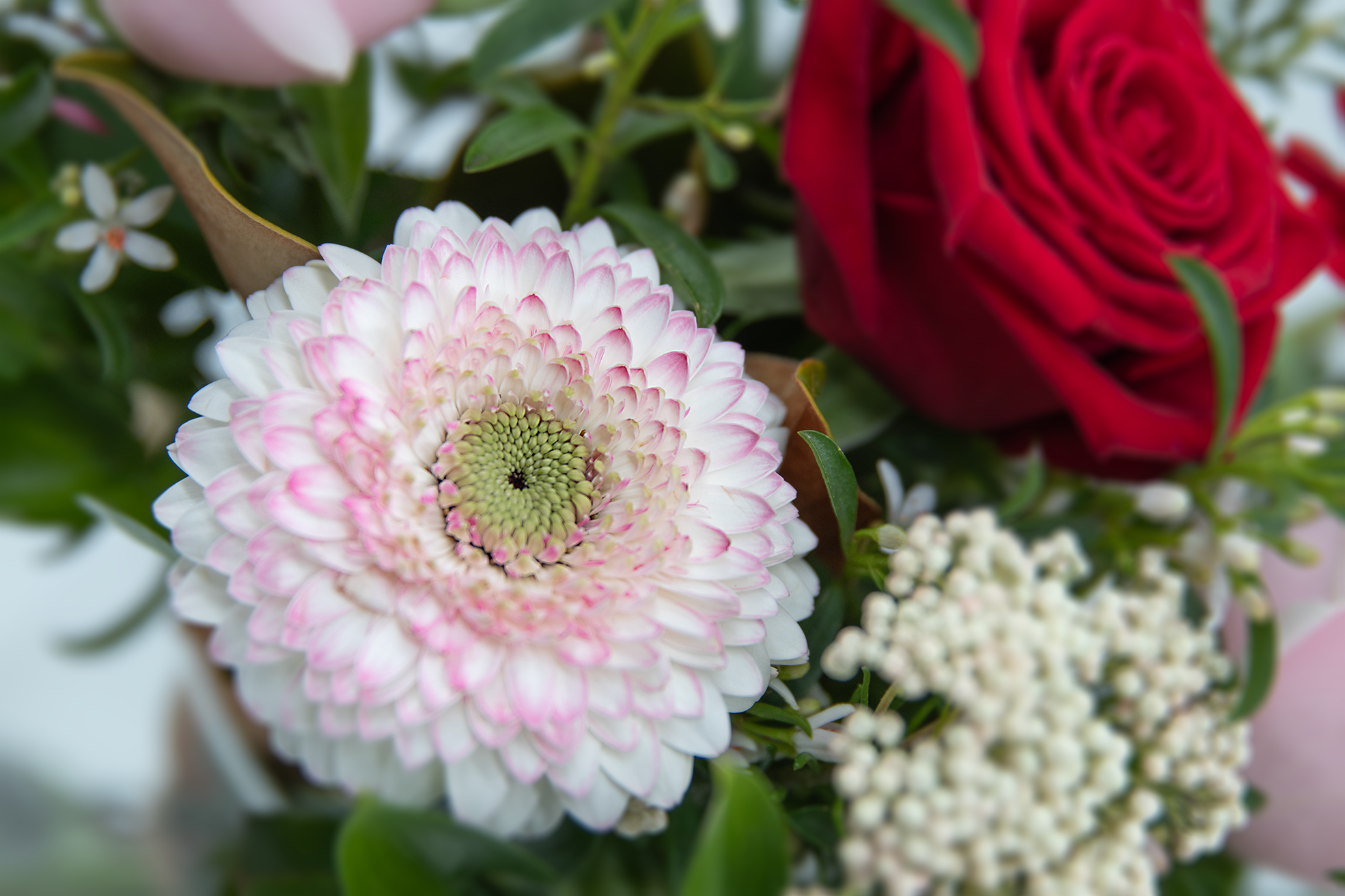 La Vie en Rose