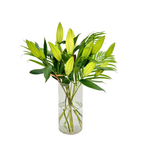 Scented Lilies Bouquet